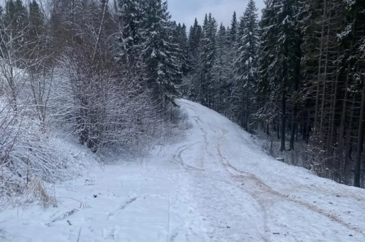 Тысячи жителей Петрозаводска выступили против застройки парка Курган
