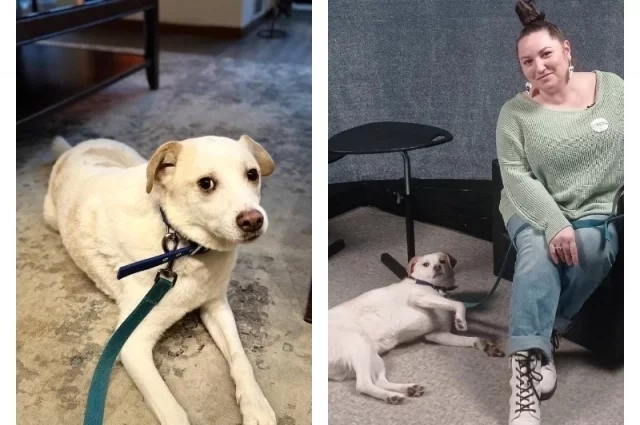 Море подойдёт как для одинокого человека, так и для большой семьи.