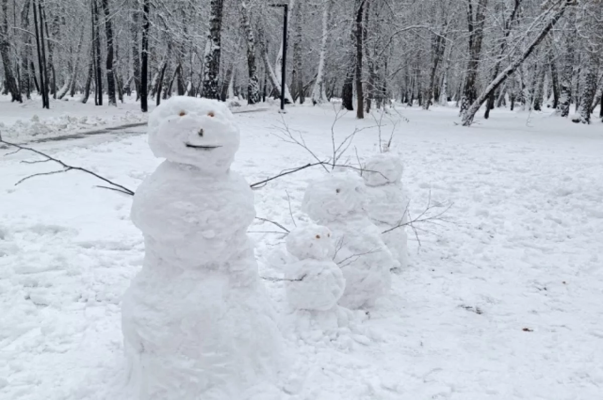 На Брянщине 12 февраля ожидаются гололедица и налипание мокрого снега