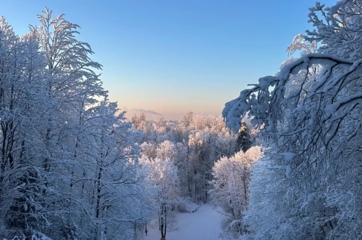 Новосибирцам рассказали, когда на 14 февраля было холоднее всего