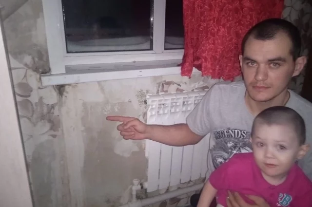 Квартира зарастает плесенью