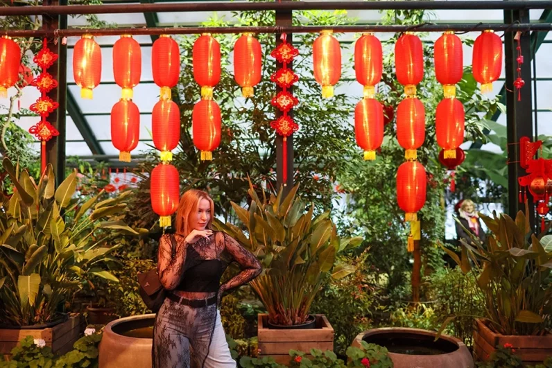 В этом году Москва в третий раз проведет официальное празднование Нового года по восточному календарю. Фестиваль «Китайский Новый год в Москве» начнется 16 февраля. Манежная площадь, Площадь революции и более 20 других локаций украшают к празднику.