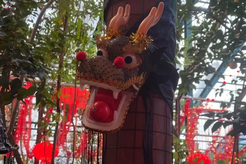 Без Дракона Китайский Новый год вообще представить нереально. Каким бы ни был главный символ очередных 12 месяцев, этот крылатый персонаж занимает центральное место в оформлении любой площадки праздника.