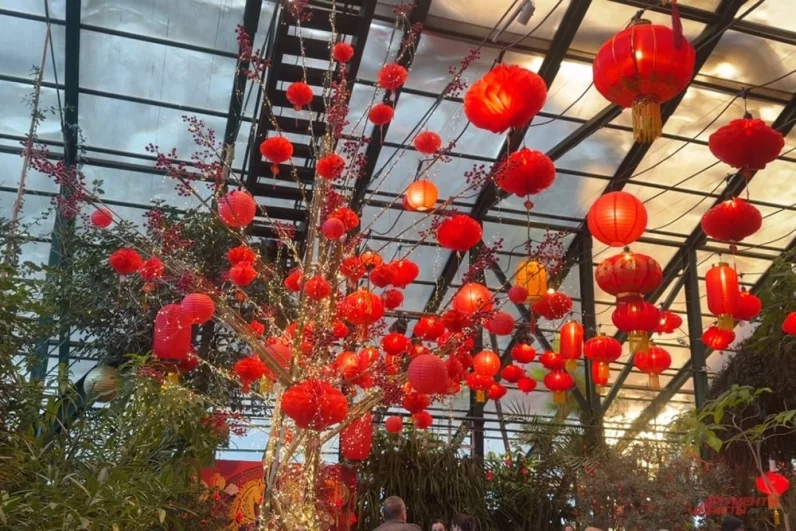 Более 20 локаций столицы украшают к Китайскому Новому году. В их числе - Манежная площадь и переход к Площади революции, Московский зоопарк.