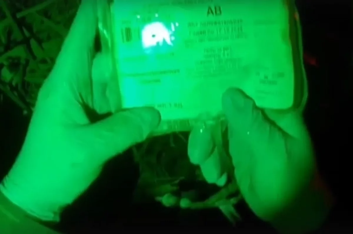 Брянская станция переливания крови показала, как сухая плазма спасает жизни