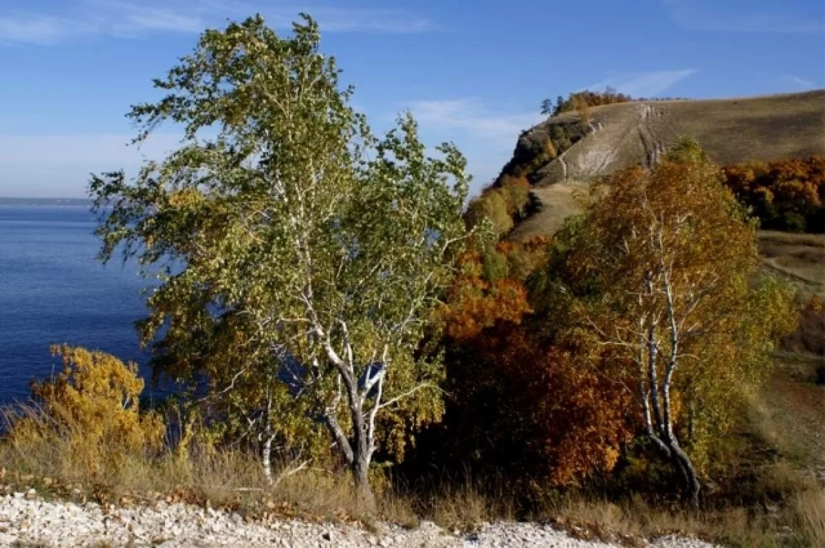 «Путь реки»: на «Самарской Луке» обустроят места отдыха