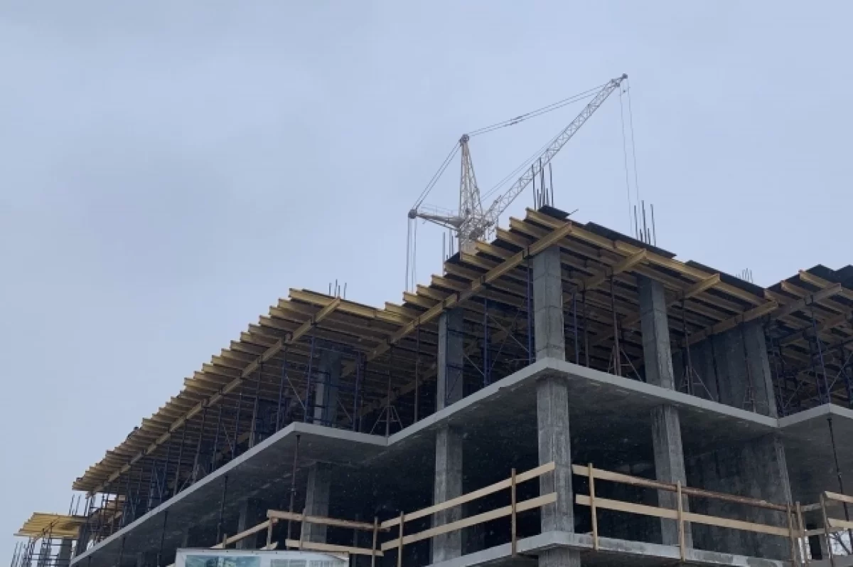 В Беломорске построят гостевой дом и зону отдыха с куполом в виде морошки