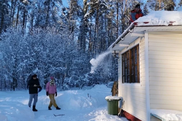 Дачные конфликты из-за построек почти всегда начинаются с мелочи: полметра до забора, сток с крыши, спорная полоса по кадастру. 