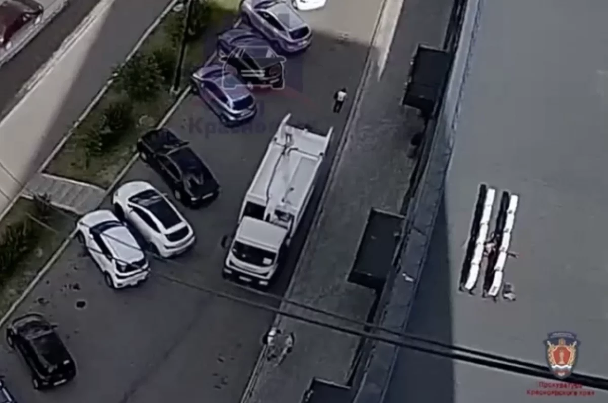 Водитель мусоровоза получил пять лет за гибель пенсионерки в Красноярске