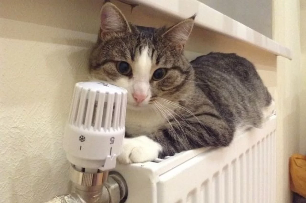 Белгородские власти усиленно работают над подачей тепла во все МКД города