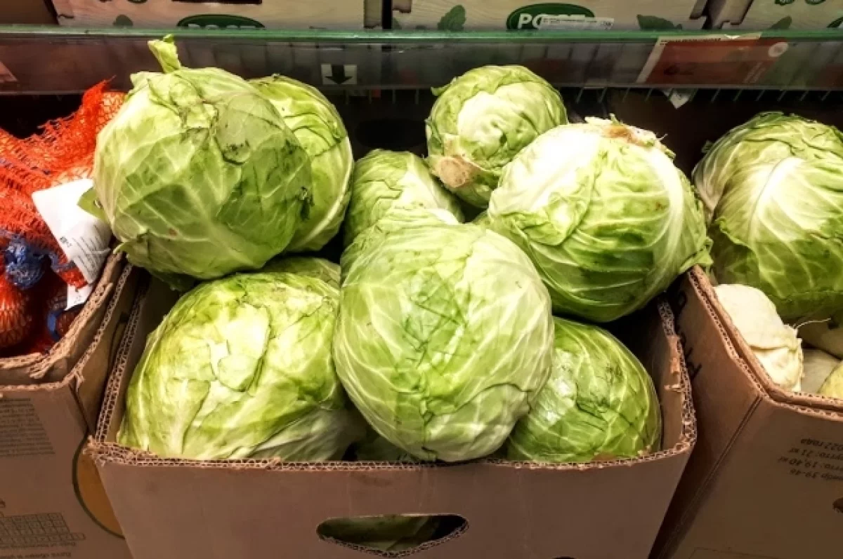 Тюменские аграрии установили рекорд и вырастили более 26 тысяч тонн капусты