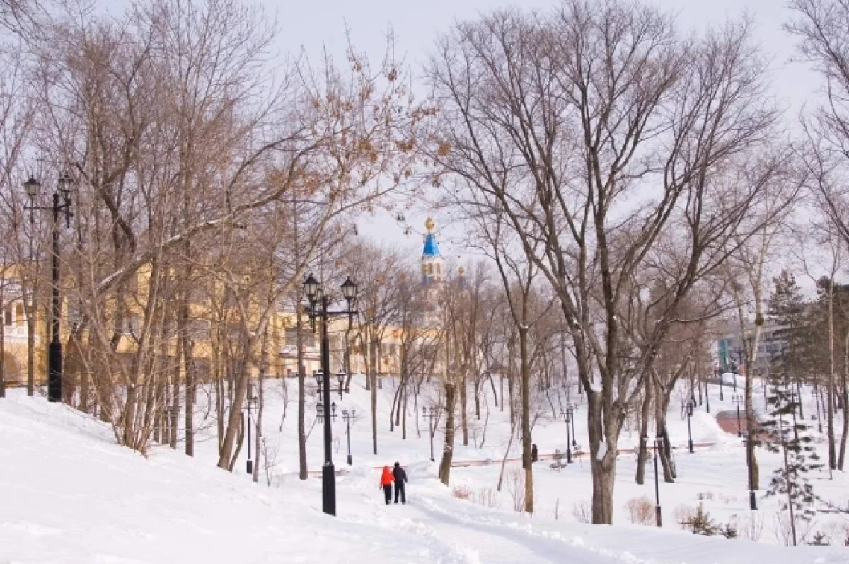 Морозная сила февраля: какая будет погода 19 февраля в Хабаровском крае