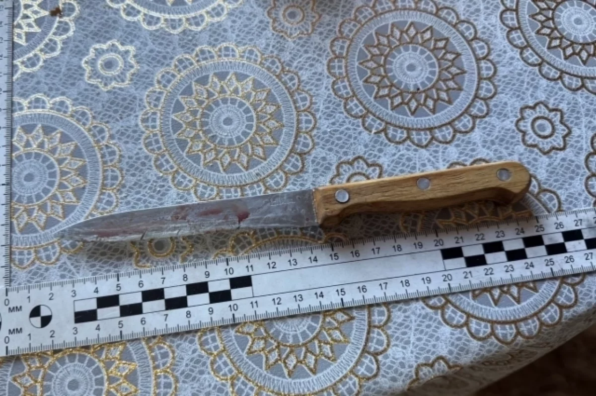 На Алтае сельчанин зарезал 77-летнюю мать во время ссоры