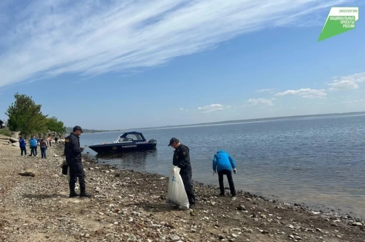 В 2026 году в Ульяновской области очистят от мусора 157 км береговых линий