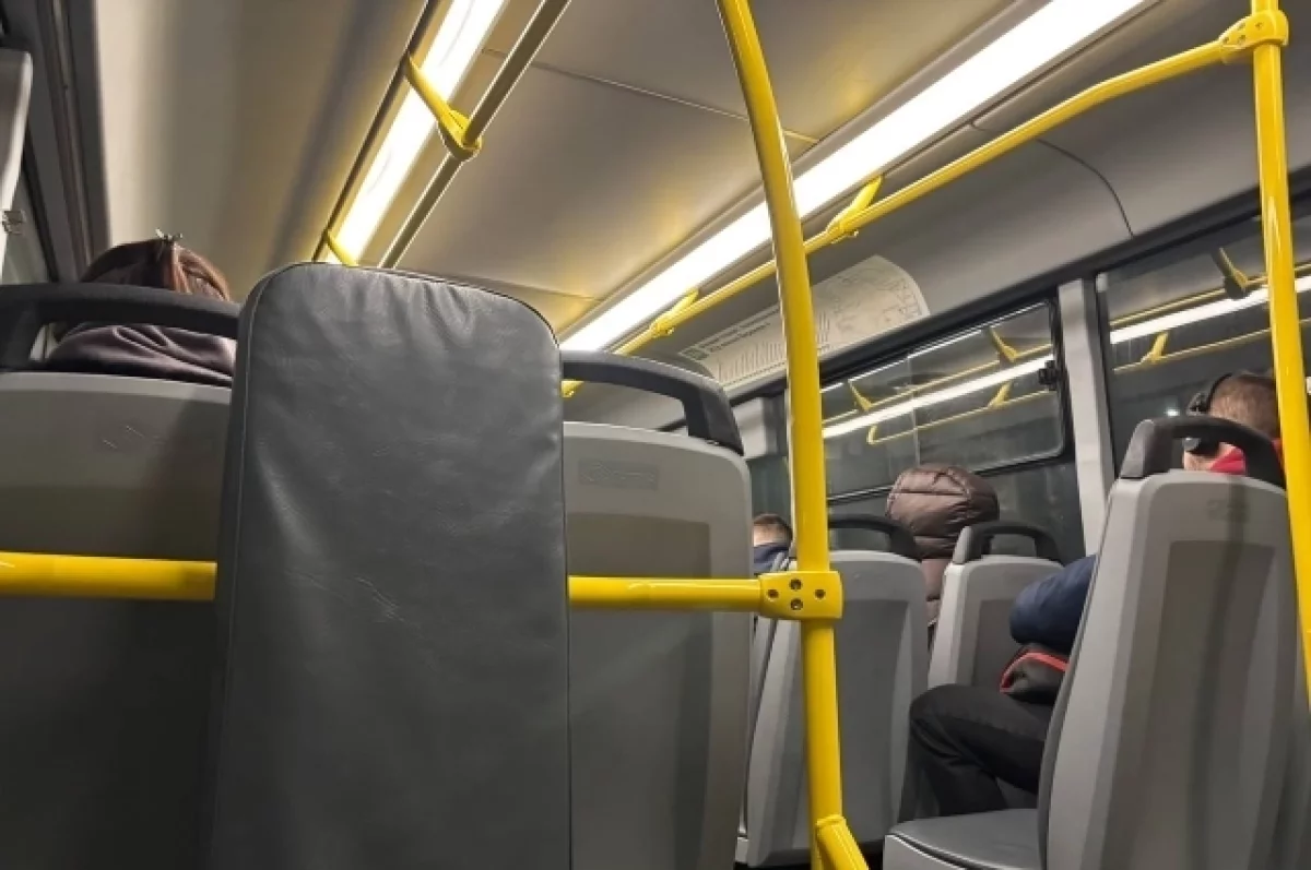 Новые тарифы на проезд в Йошкар-Оле: наличные — 43 рубля, карта — 42 рубля