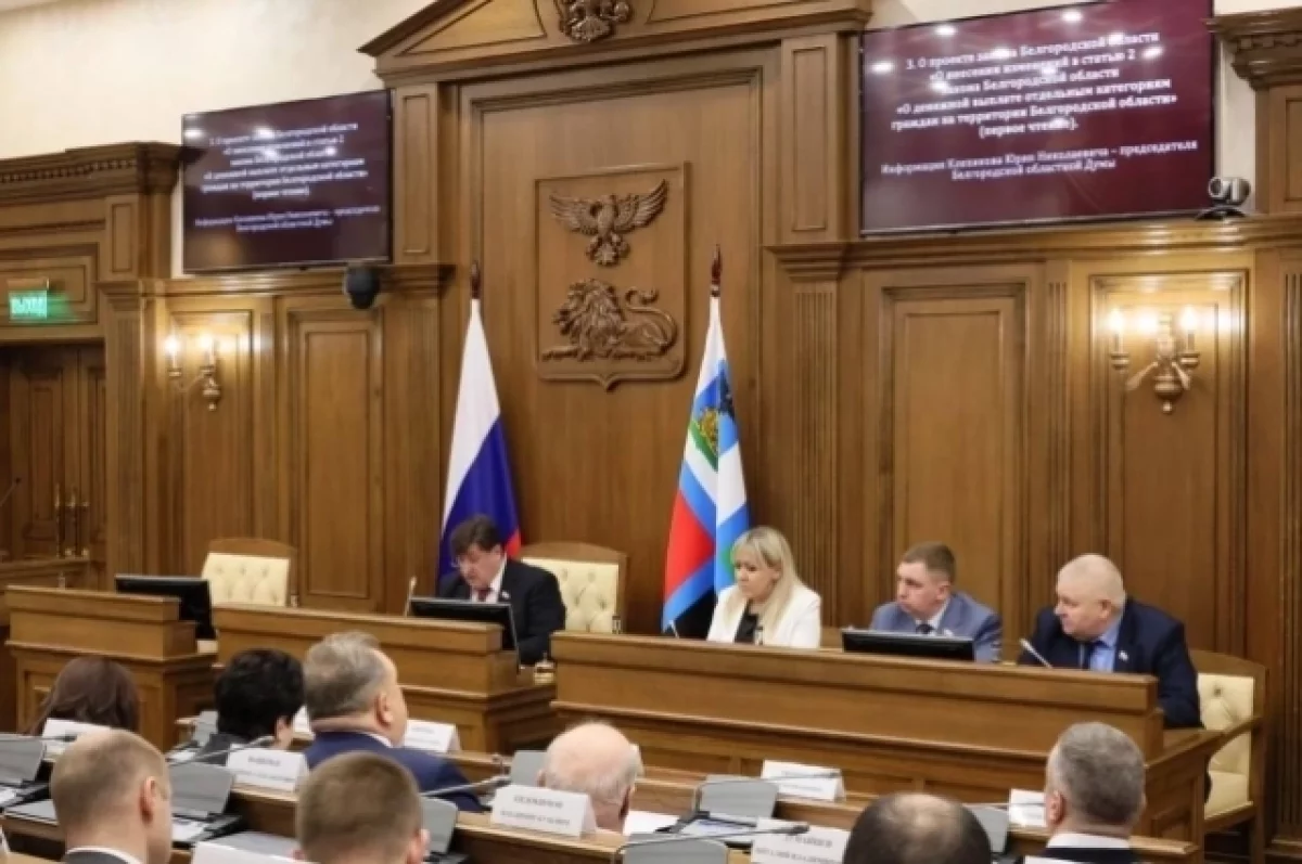 Многодетные белгороцы могут направить региональный маткапитал на генераторы