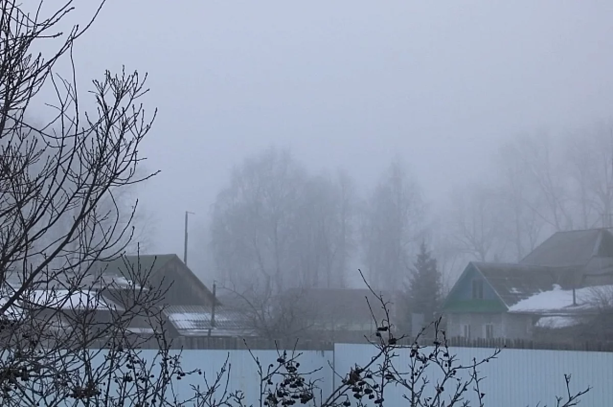 Омск на сутки накроет смог