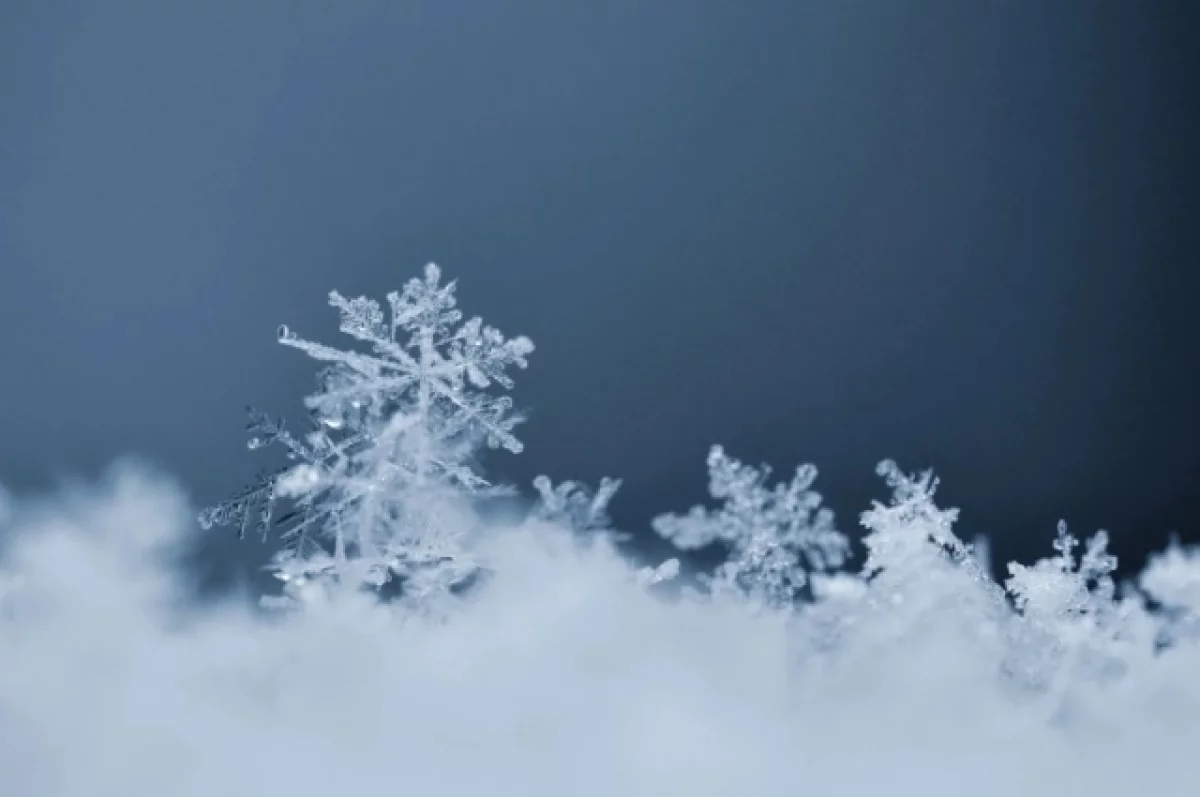 В Брянской области 20 февраля ожидается небольшой снег