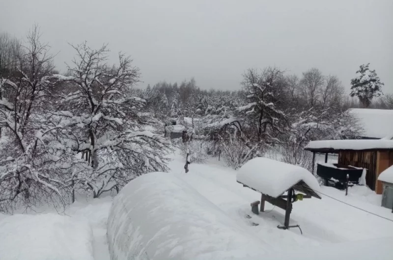 Рязанским дачникам со снегом бороться приходится тщательнее остальных.