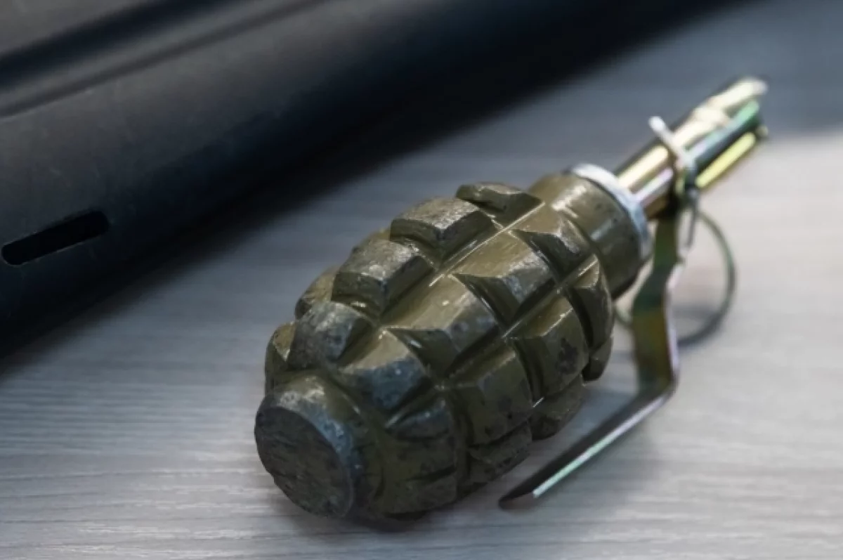 На Дону завели дело после взрыва гранаты при задержании