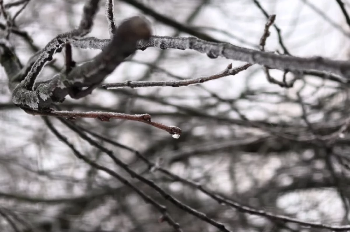 20 февраля: день тишины, запретов и народных примет