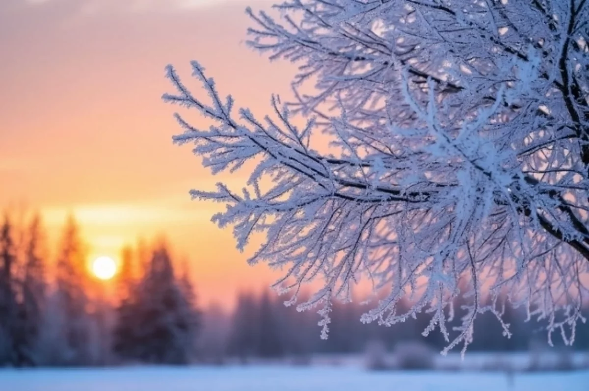 В регионе ожидаются ночные морозы до минус 15 градусов