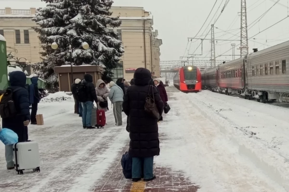 Стало известно, сколько поездов задержались в Туле из-за снегопада