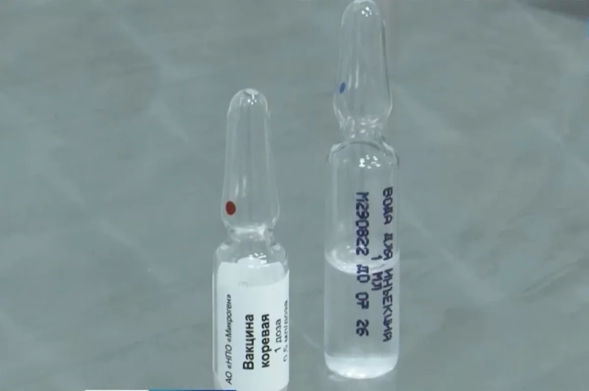 В Новосибирске пытаются наладить производство вакцины от оспы