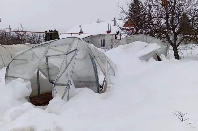 Вот какой ущерб нанесли снегопады новой теплице.