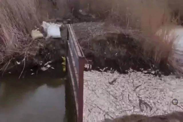 Та самая перегородка, которая, как утверждают рыбаки, и послужила основной причиной мора рыбы. 