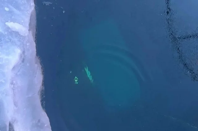 УАЗ провалился под лёд