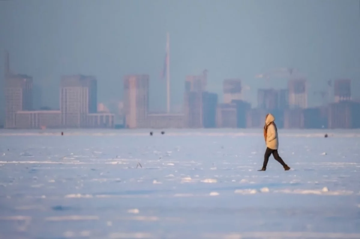 Финский залив впервые с 2011 года полностью покрылся льдом