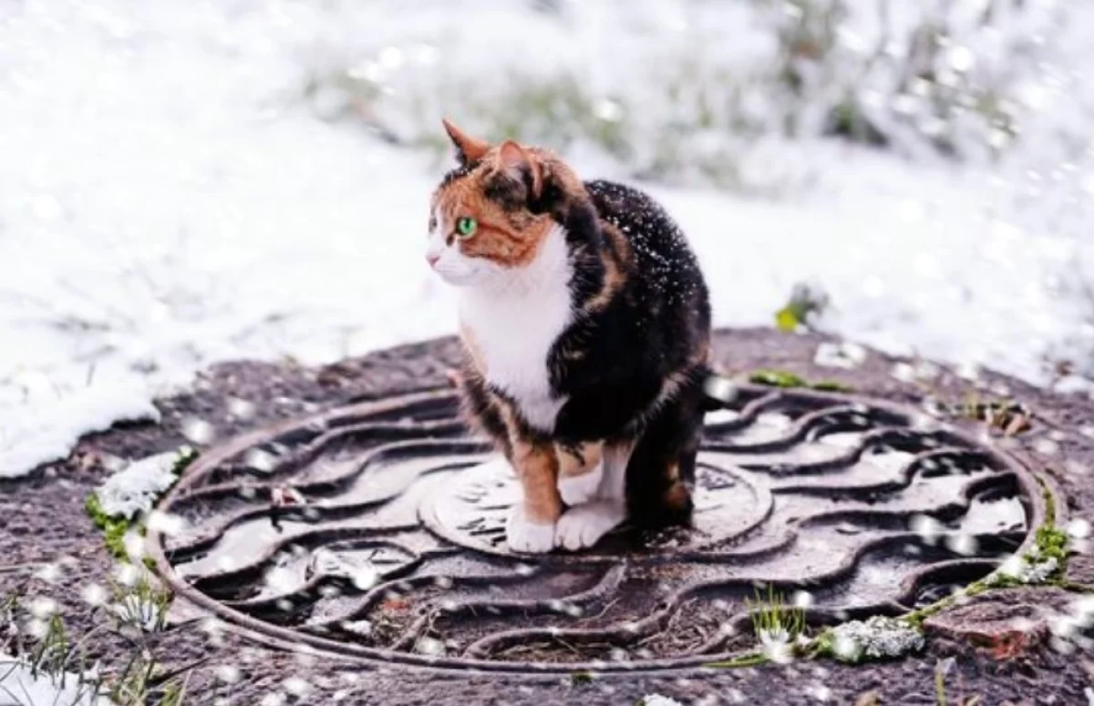 Потеплеет до +11: какая погода будет в Хабаровском крае 22 февраля