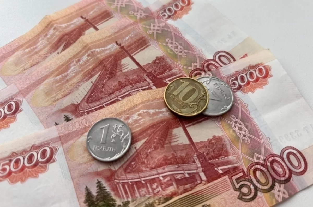 Новосибирцам рассказали, как ошибки в трудовой влияют на пенсию