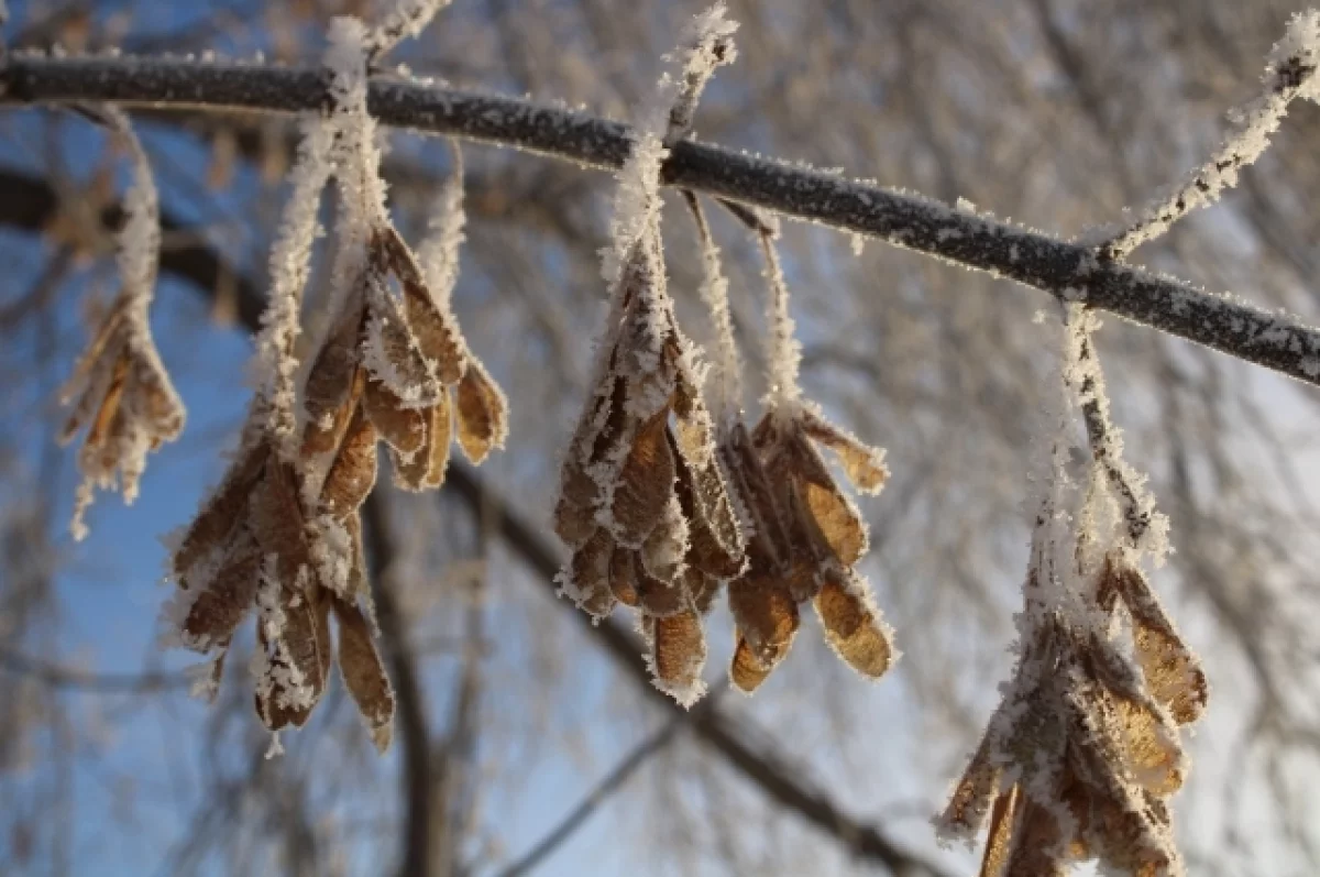 В МЧС предупредили свердловчан об аномально морозной погоде