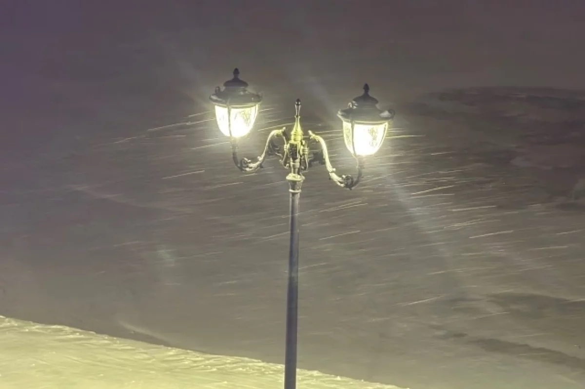 Экстренное предупреждение о метели выпустили в Удмуртии