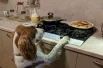 А питомцы только и мечтают о том, чтобы утащить угощение.