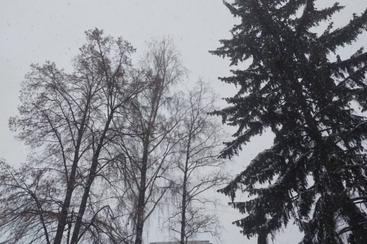 Два вражеских БПЛА уничтожили в Тульской области