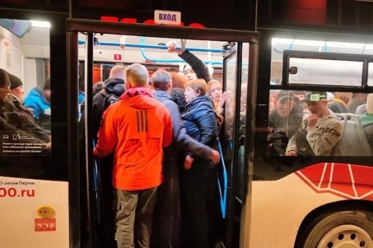 Уголовное дело возбудили на водителя, напавшего на ребёнка в Новосибирске