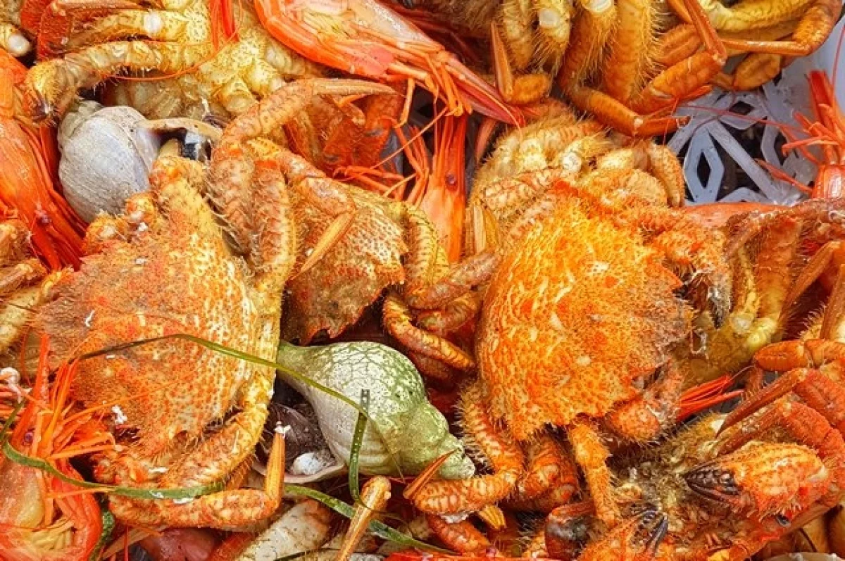 В Туле ветеран СВО планируют открыть раковарню