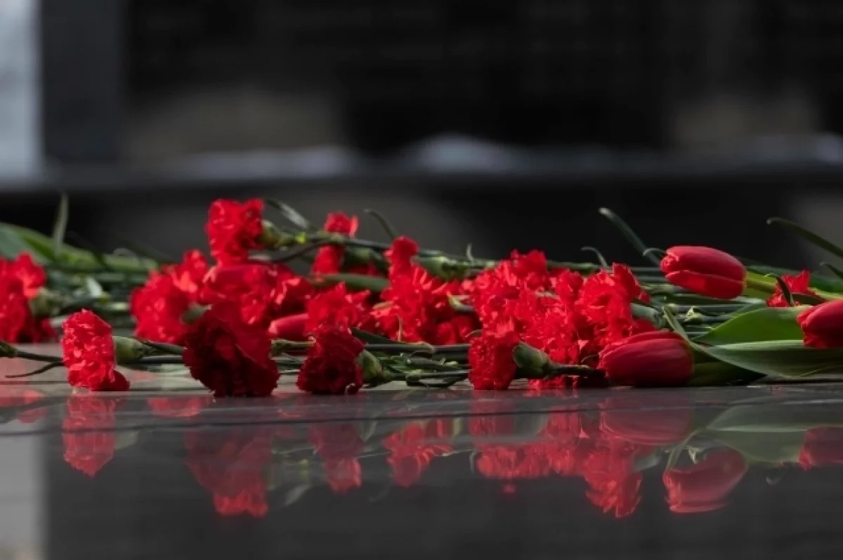 Томские студотрядовцы почтили память павших бойцов