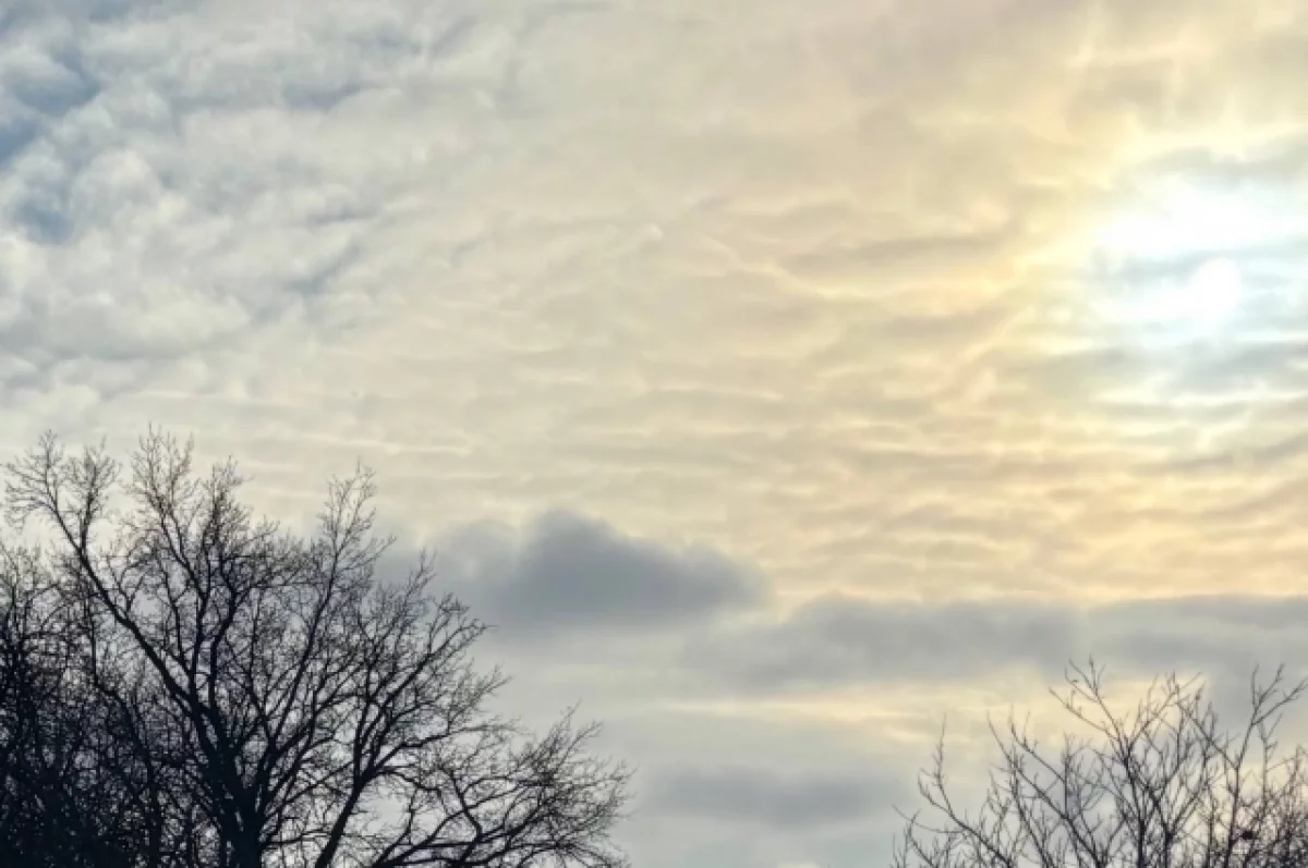 Памятный знак девочке, умершей в больнице, предлагают установить в Карелии