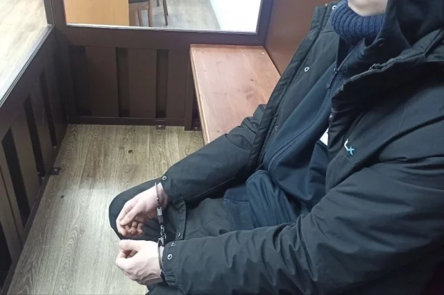 Подростка заключили под стражу на два месяца.