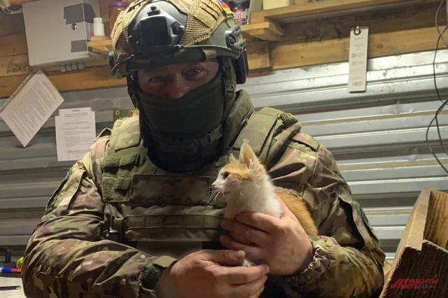 Снайпер «Специальный» вместе с котенком Мелким. 
