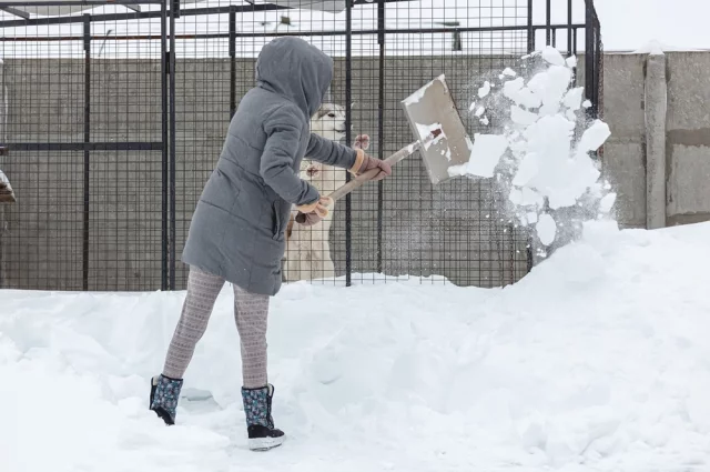 Если сосед, не мудрствуя лукаво, сгребает снег со своего участка прямо к вашему забору или перекидывает его через ограду, это нарушение закона.