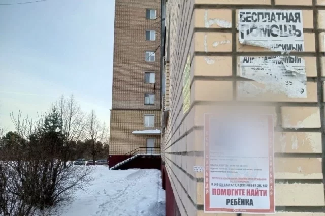 Саша вышла на прогулку и исчезла со двора.