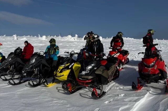 Добровольцев объединяли в поисковые группы.