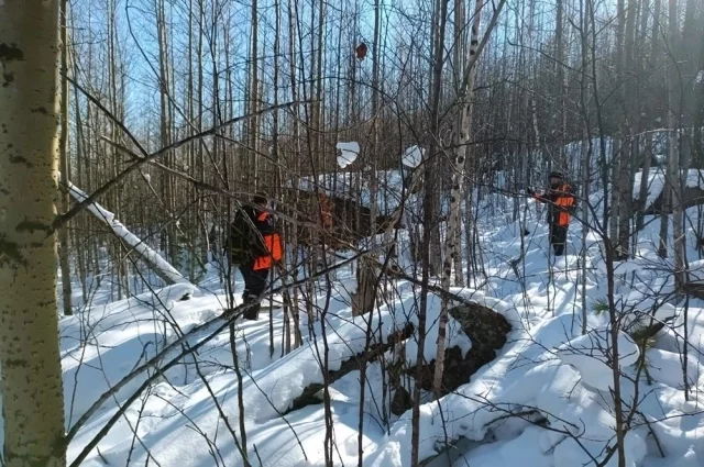 Поиск семьи Усольцевых. 