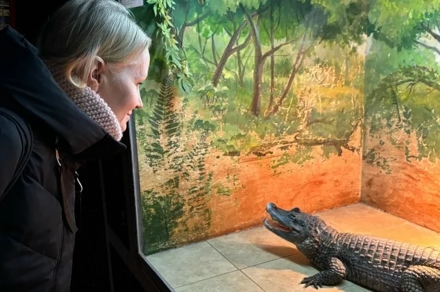 Животные ждут переезда в новые просторные вольеры