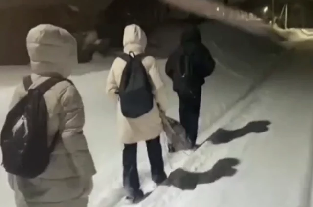 Водителя не могут найти уже не первый год. В результате страдают дети